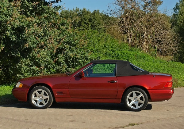 Mercedes-Benz SL cena 80000 przebieg: 115000, rok produkcji 1997 z Warszawa małe 781